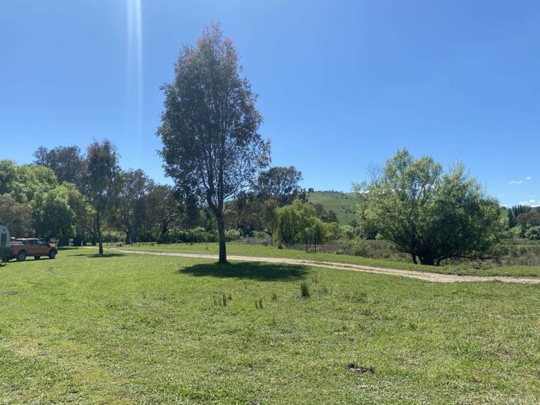 IMG 08261 768x576