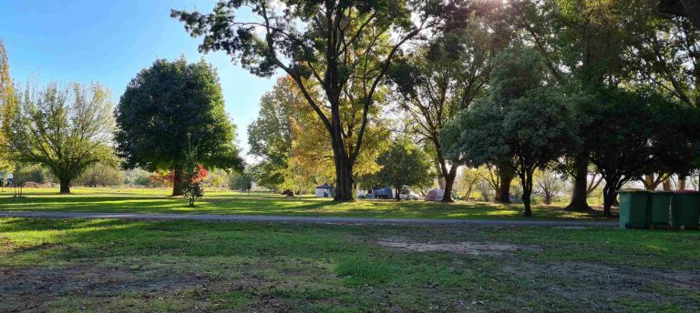 colac colac cp 768x344