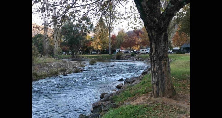 the park 768x410