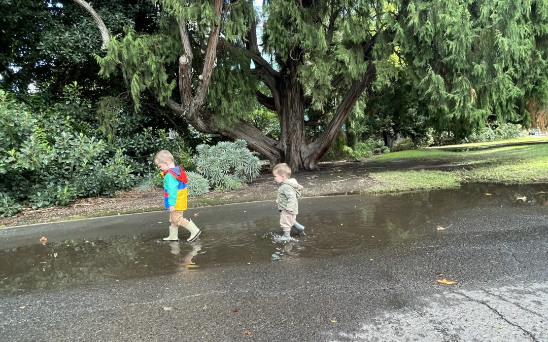 Adelaide Botanic gardens