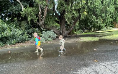 Adelaide Botanic gardens