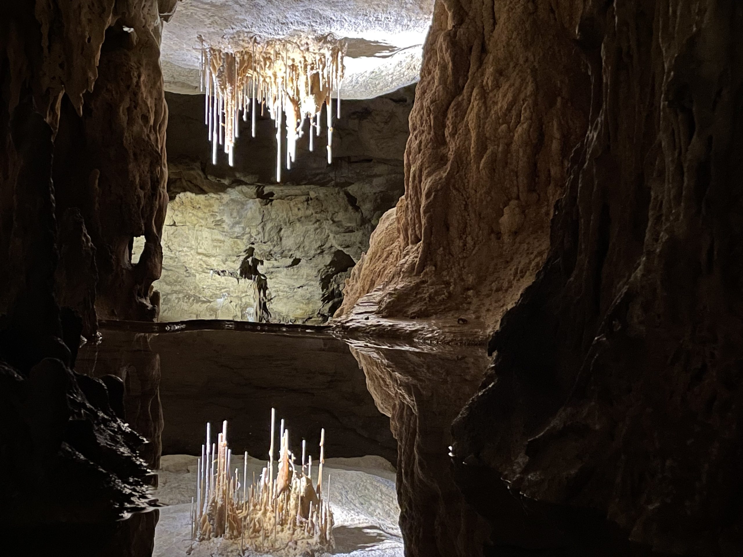 Naracoorte Caves